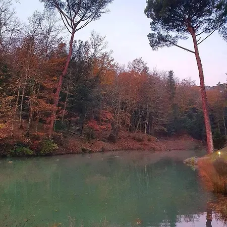 Lebbiano * Scandicci