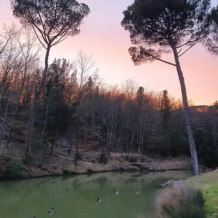 Lebbiano Scandicci